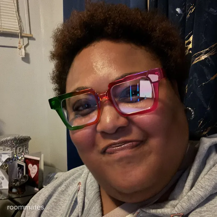 Roommate looking Detroit, MI, $600