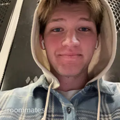 Roommate looking Delano, MN, $1000