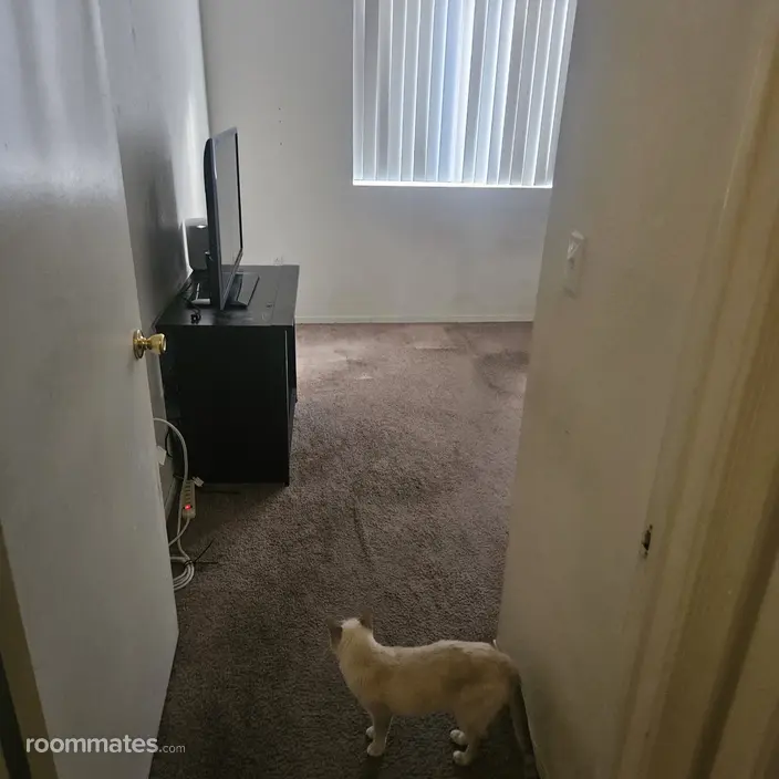 Room for rent in Tucson, AZ $650, apartment
