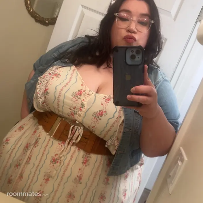 Roommate looking Nashua, NH, $1000