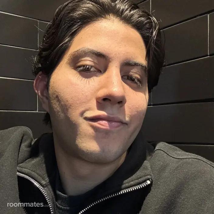 Roommate looking Chicago, IL, $2000