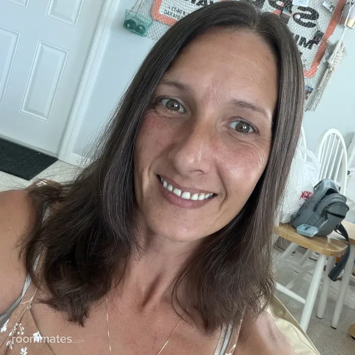 Roommate looking Pinellas Park FL, $700