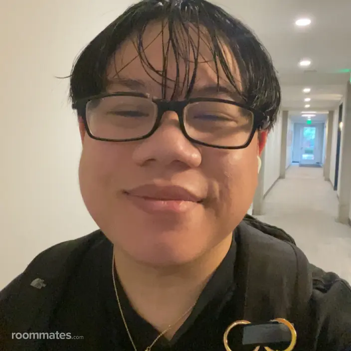 Roommate looking Minneapolis, MN, $1000