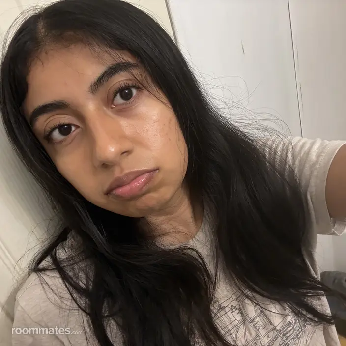Roommate looking New Caney, TX, $700