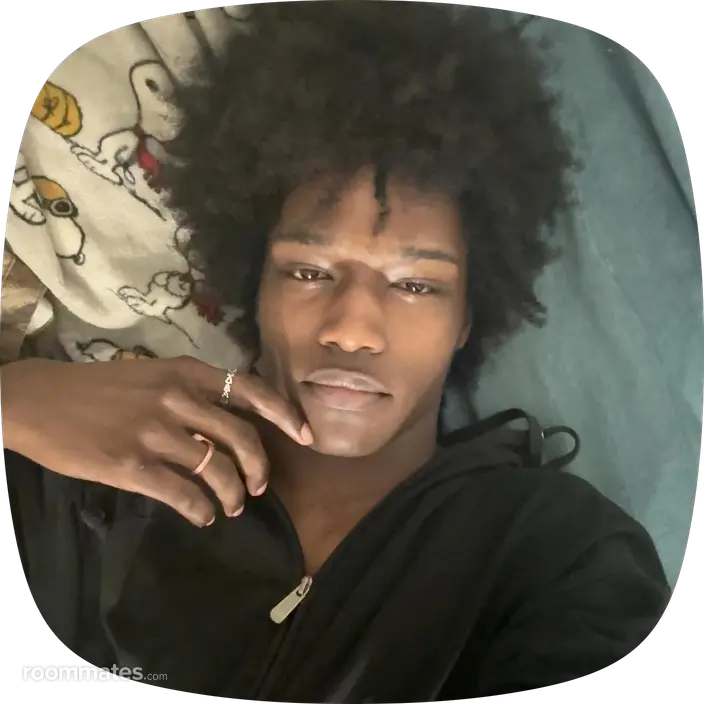 Roommate looking Smyrna, GA, $2000