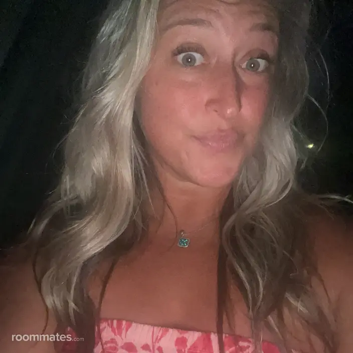 Roommate looking Clearwater FL, $800