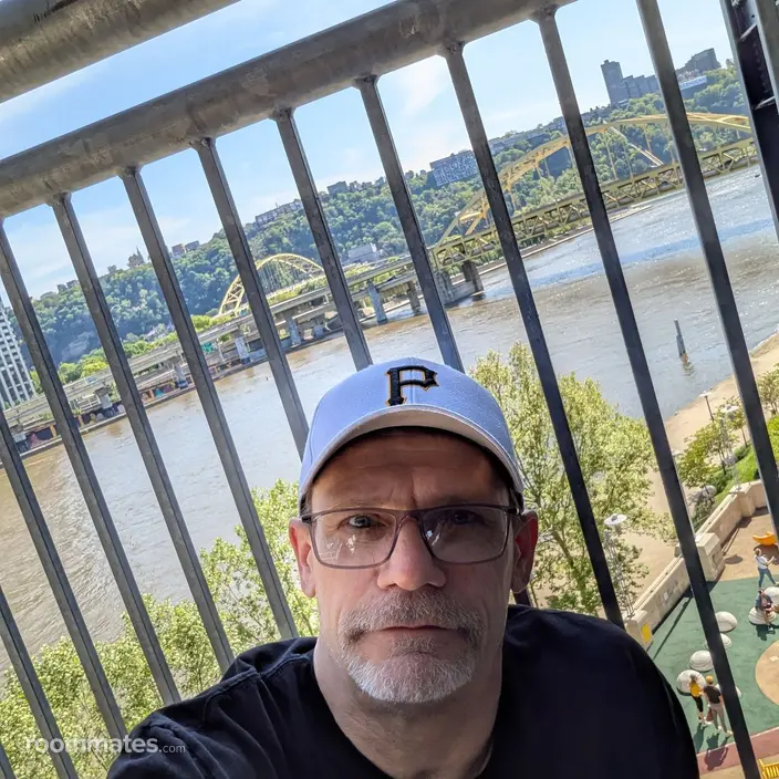 Roommate looking Pittsburgh, PA, $800