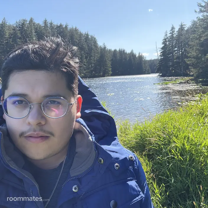 Roommate looking Seattle, WA, $1000