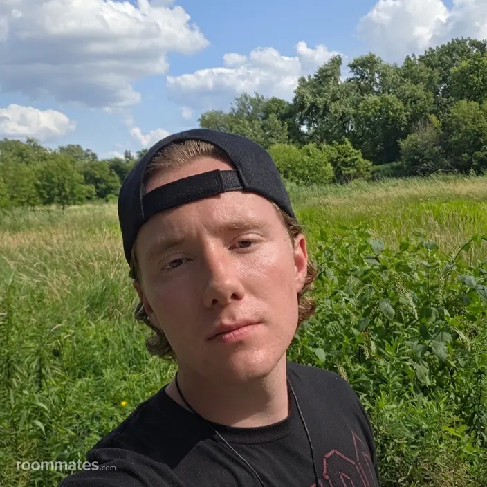 Roommate looking La Grange Park, IL, $1000