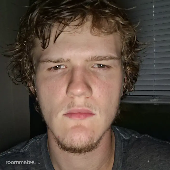 Roommate looking Galloway, OH, $600