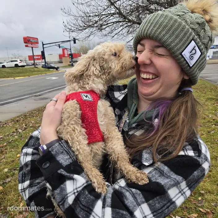 Roommate looking La Crosse, WI, $700