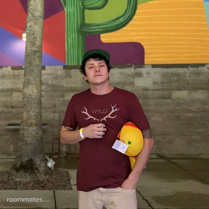 Roommate looking Tucson, AZ, $700