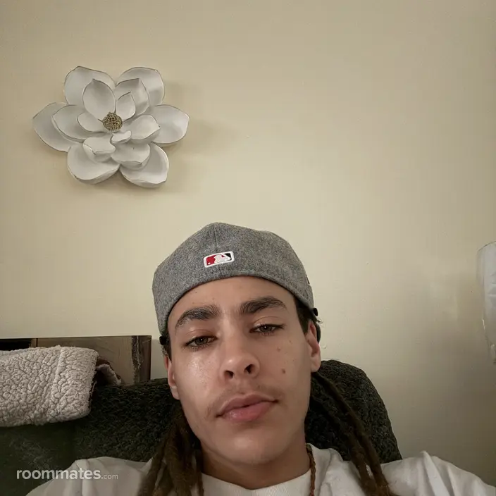 Roommate looking Elk Grove Village, IL, $900