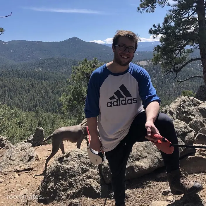 Roommate looking Tenafly, NJ, $1500