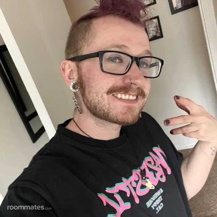 Roommate looking Fort Collins, CO, $900