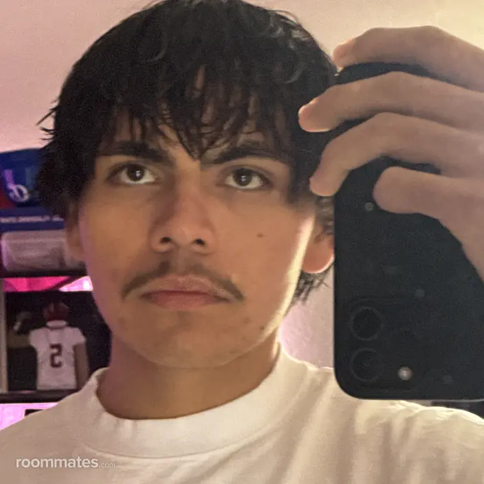 Roommate looking Los Angeles, CA, $800