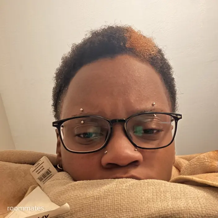 Roommate looking Cleveland Heights, OH, $600