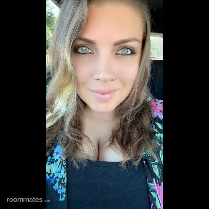 Roommate looking Walpole, MA, $1000