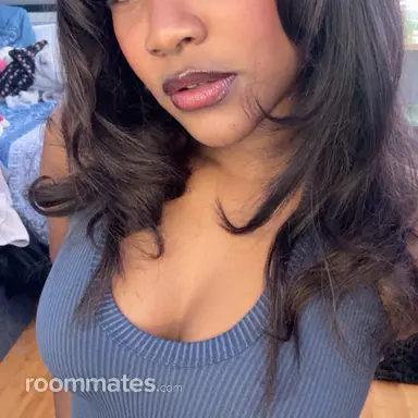Roommate looking Malden MA, $900