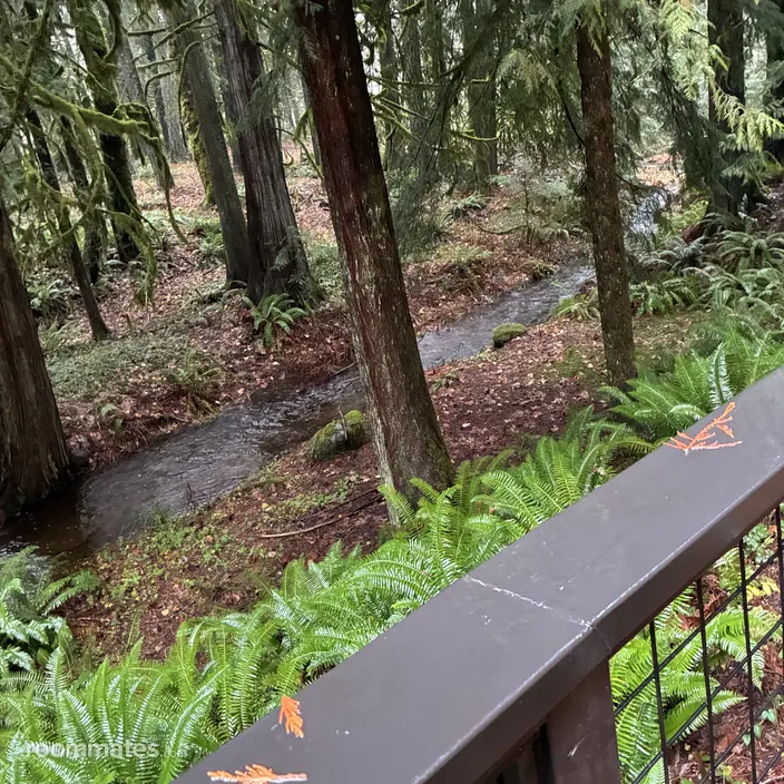 Room for rent in Rhododendron, OR $975, house