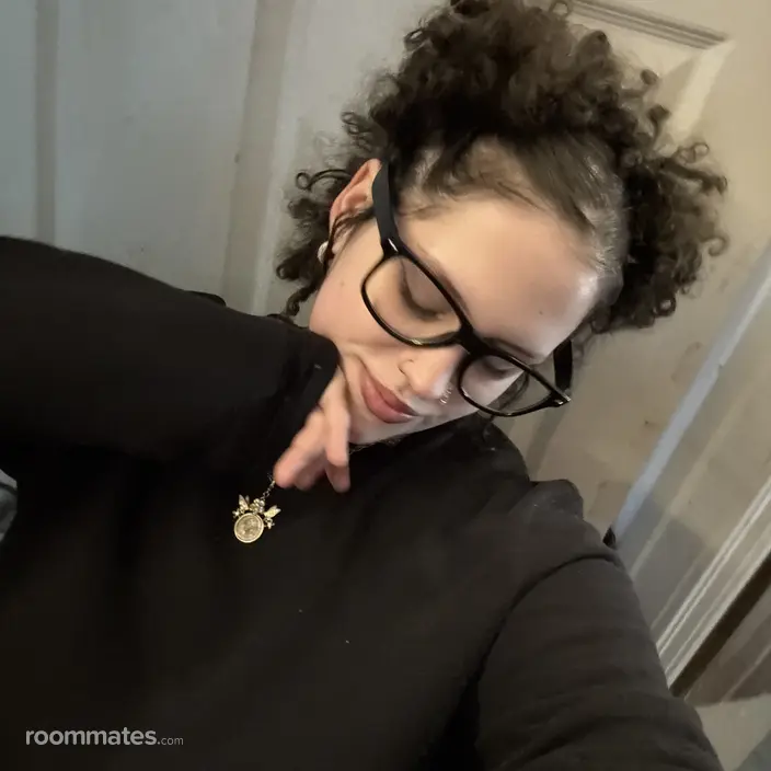 Roommate looking Taunton, MA, $900