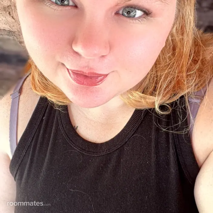 Roommate looking Houston, TX, $800