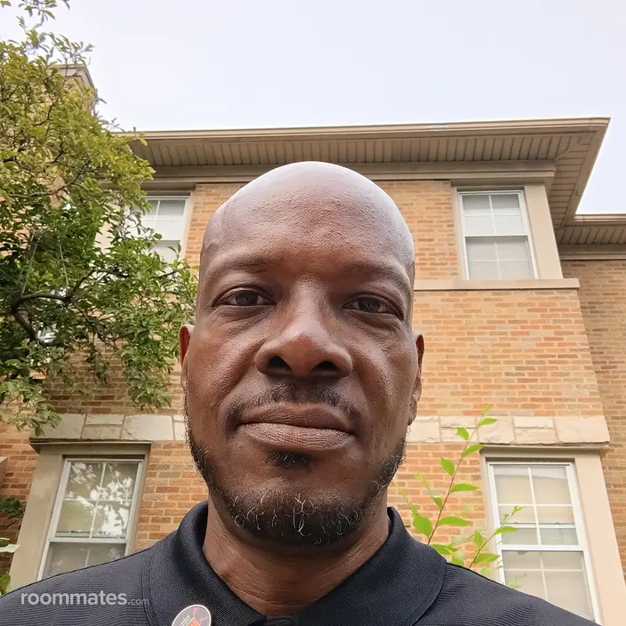 Roommate looking Chicago, IL, $800