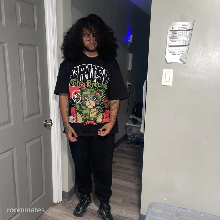Roommate looking Lansing IL, $600