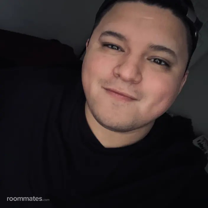 Roommate looking Houston, TX, $700