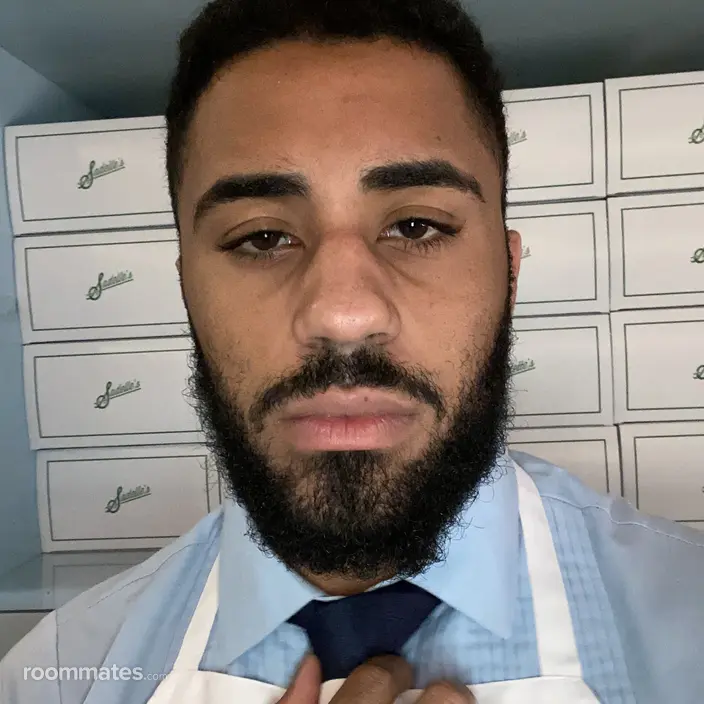 Roommate looking Fall River, MA, $700