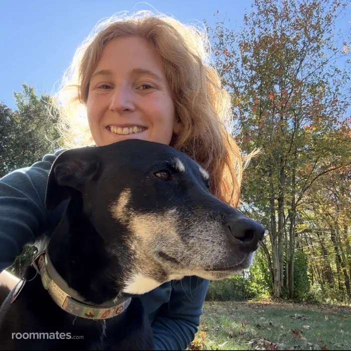 Roommate looking Concord, NH, $800