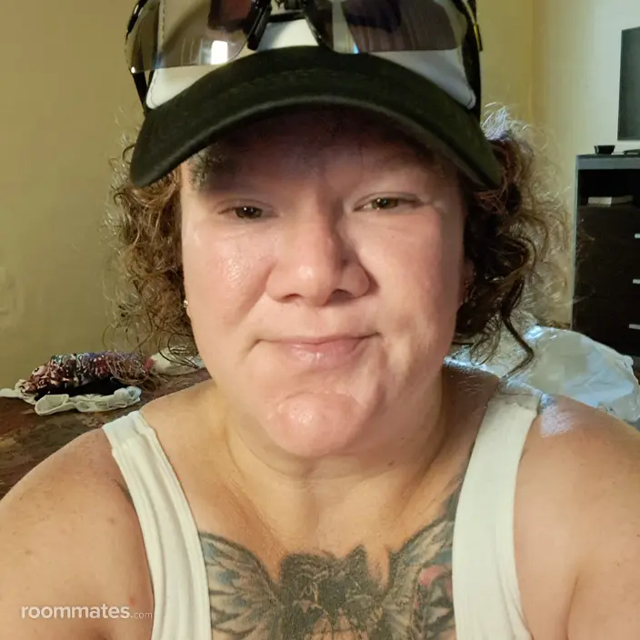 Roommate looking Greenville, NC, $600