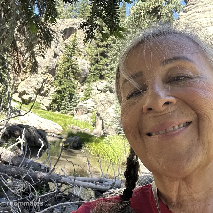 Roommate looking Ruidoso, NM, $700