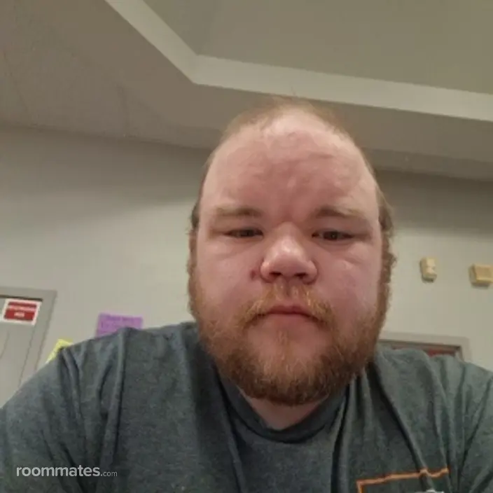 Roommate looking Niles, MI, $800