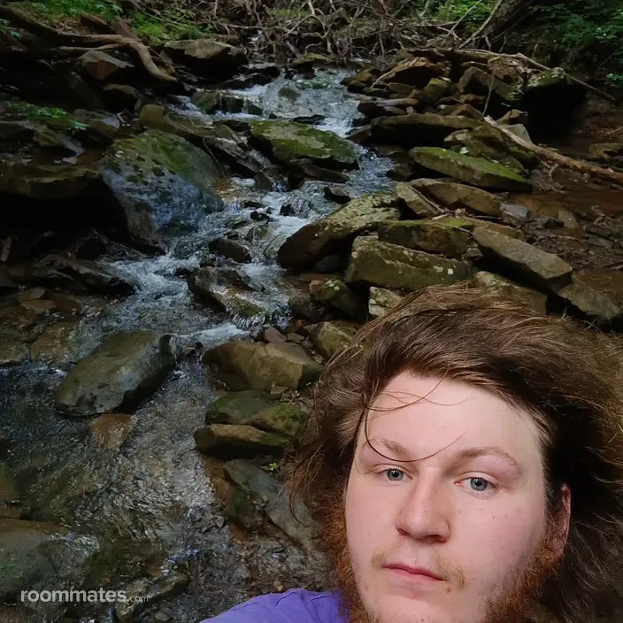 Roommate looking Hixson, TN, $900