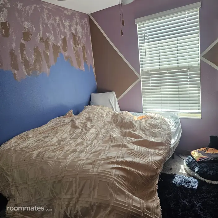 Room for rent in Ruskin, FL $850, house