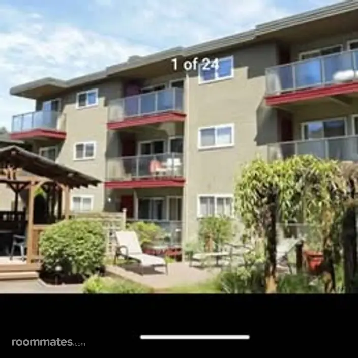 Room for rent in Bellevue, WA $1245, apartment