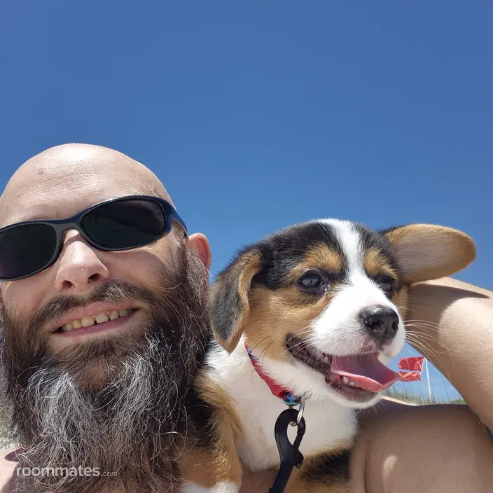 Roommate looking Pensacola, FL, $1200
