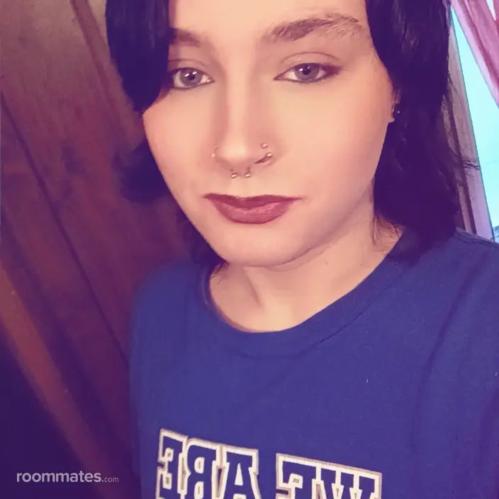 Roommate looking Kent, OH, $600