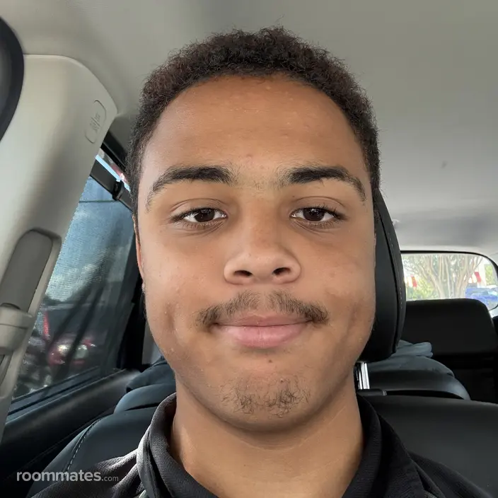 Roommate looking Pensacola, FL, $500