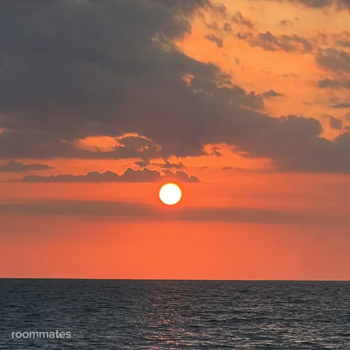 Roommate looking Fort Myers, FL, $900