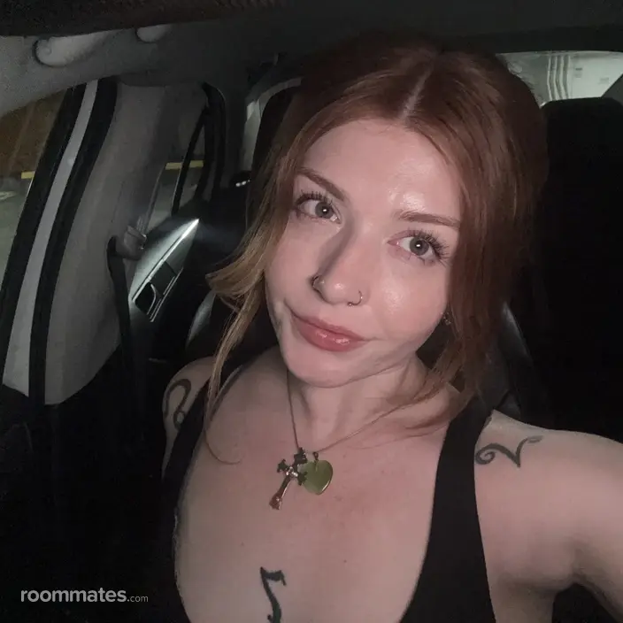 Roommate looking Phoenix, AZ, $1000