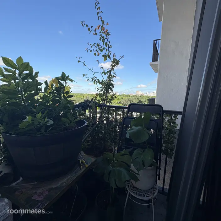 Roommate looking Naples FL, $1200