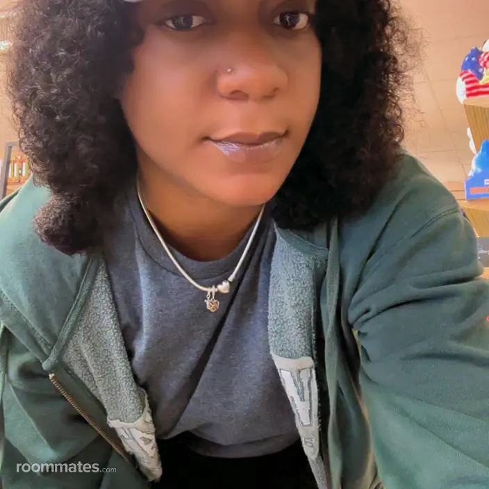 Roommate looking Brooklyn, NY, $1000