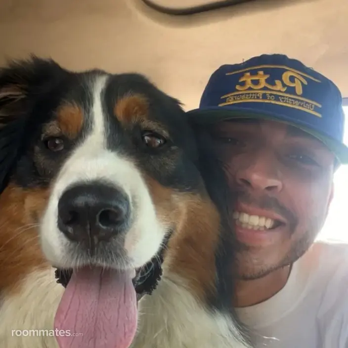 Roommate looking Nashville, TN, $1000