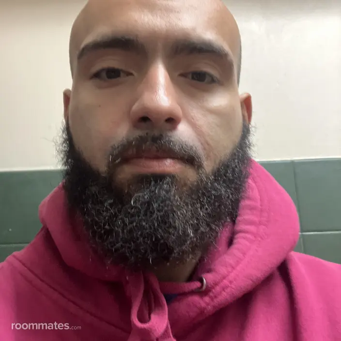 Roommate looking Union City, NJ, $1000