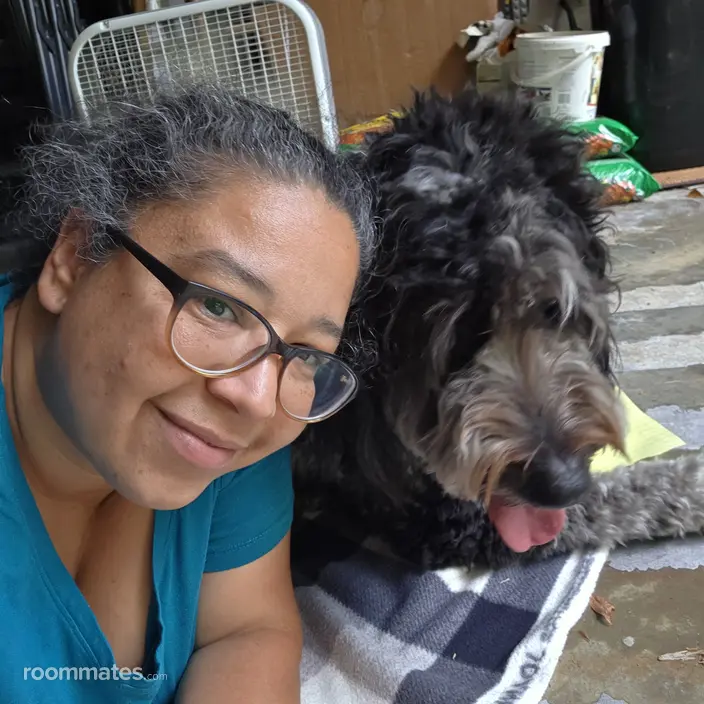 Roommate looking Wilmington, NC, $800