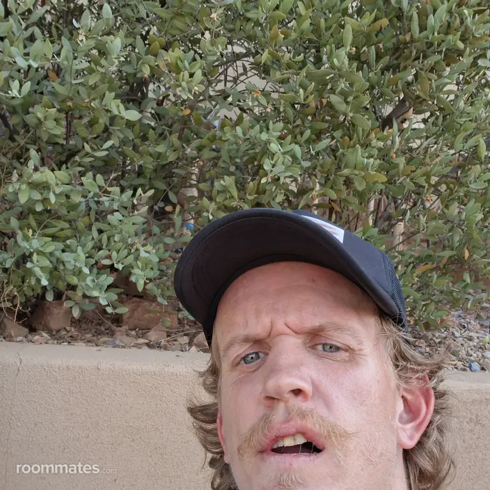 Roommate looking Tempe, AZ, $800
