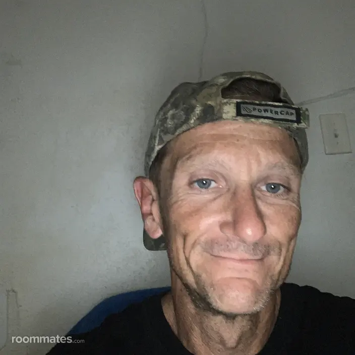 Roommate looking Saint Petersburg, FL, $800