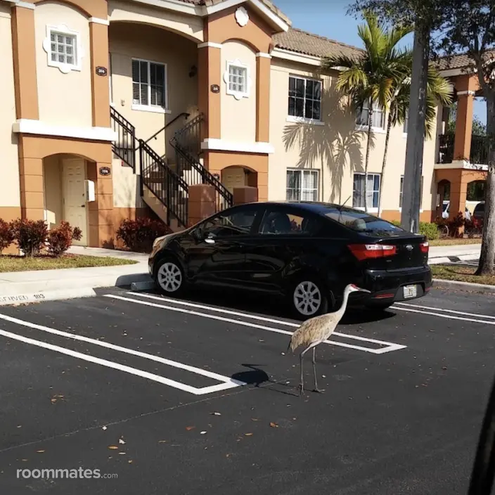 Room for rent in West Palm Beach, FL $1100, apartment